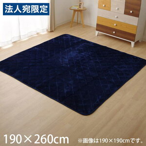 CPqR t LgO 190×260cm lCr[ KFR190260 [ Ƌ O R hL zbgJ[ybgΉ g[Ή ]wsxwiꕔn揜jx