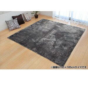 ���n���O �����W�� �O���[ 3959029 200×250cm[���O �J�[�y�b�g �Ƌ�]�w����s�x�w���������i�ꕔ�n�揜���j�x