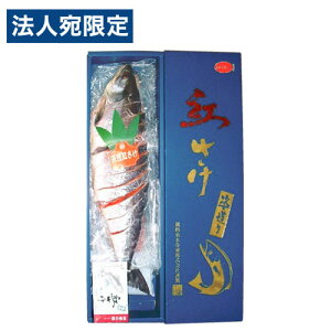 VRg 2kg ܂邲1 Ⓚ wԕisxwsxwiꕔn揜jx