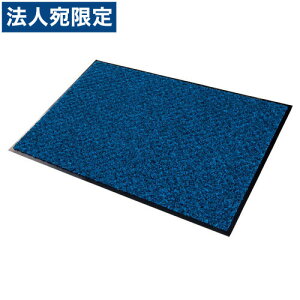 �w���i�x�e�����g �n�C�y�A���� MR-038-040-3 600×900mm �w���������i�ꕔ�n�揜���j�x
