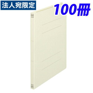 vX tbgt@C No.021N A4S AC{[ 100wiꕔn揜jx