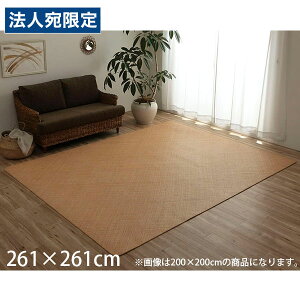 CPqR VR^J[ybg ق O^Cv ]ˊ4.5 261×261cm [  ~ O J[ybg Rf AWA ^ D ]wsxwiꕔn揜jx