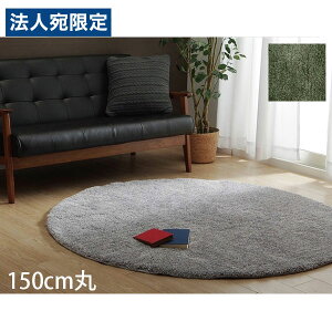 CPqR _ J[ybg 150cm O[ [ O ~` n VM[ 􂢉 ~ߕt ]wsxwiꕔn揜jx