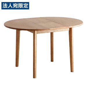 ~` L_CjOe[u AO 900mm 1200mm s900mm 720mm nwsxwiꕔn揜jx