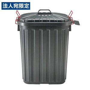w|Cg5{xݔ 60L 360mm s554mm 622mm ^tJ `R[O[ LFS-938CG Jwsxwiꕔn揜jx