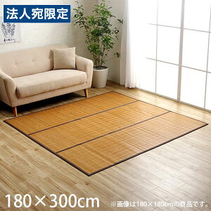 �C�P�q�R CXH�v���[�� �|���O 180×300cm �u���E�� CXHP180300 [ �o���u�[ �| ���O �J�[�y�b�g �V�R�f�� ��v �R�� �h�L ���L ]�w����s�x�w���������i�ꕔ�n�揜���j�x