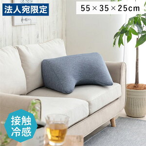 CPqR tXg 肩 NbV 55×35×25cm lCr[ FSTYK5535 [ ڐG⊴ ⊴ Ђ rO w w  Vv ]wsxwiꕔn揜jx