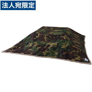 ���J ���|�����z�c �����` W190×D230cm KK-148�w����s�x�w���������i�ꕔ�n�揜���j�x