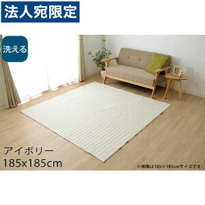 �C�P�q�R �R���� �􂦂� �L���g���O 2�� 185×185cm �A�C�{���[ KRM185185 [ �I�[���V�[�Y�� �J�[�y�b�g ���O �}�b�g �y�� �z�b�g�J�[�y�b�g�Ή� ���g�[�Ή� ] �w����s�x�w���������i�ꕔ�n�揜