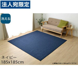 �C�P�q�R �R���� �􂦂� �L���g���O 2�� 185×185cm �l�C�r�[ KRM185185 [ �I�[���V�[�Y�� �J�[�y�b�g ���O �}�b�g �y�� �z�b�g�J�[�y�b�g�Ή� ���g�[�Ή� ] �w����s�x�w���������i�ꕔ�n�揜��