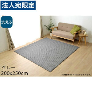 CPqR R 􂦂 LgO 3 200×250cm O[ KRM200250 [ I[V[Y J[ybg O }bg y zbgJ[ybgΉ g[Ή ] wsxwiꕔn揜j