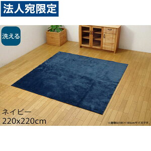 CPqR C[Y 􂦂 J[ybg 3 220×220cm lCr[ ISE220220 [ I[V[Y O }bg y ^ zbgJ[ybgΉ g[Ή ] wsxwiꕔn揜jx