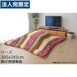 CPqR  zc ` 205×245cm [Y KYM205245 wsxwiꕔn揜jx