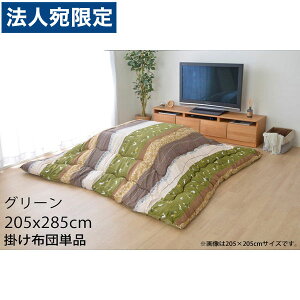 CPqR  zc ` 205×285cm O[ KYM205285 wsxwiꕔn揜jx