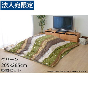 �C�P�q�R ����� �����z�c�Z�b�g �����`�� 205×285cm �O���[�� KYMS205285 �w����s�x�w���������i�ꕔ�n�揜���j�x