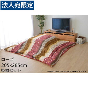 CPqR  zcZbg ` 205×285cm [Y KYMS205285 wsxwiꕔn揜jx