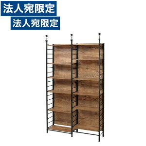 �O�v �X�N���[�����b�N W1175×D305×H2080�`2900mm �u���E�� HTR-P2(BR)�w����s�x�w���������i�ꕔ�n�揜���j�x