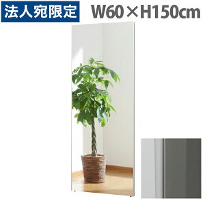 ���t�F�N�X�~���[ �X�^���_�[�h �X�����G�b�W W60×H150cm �V���o�[ RM-5[ ����Ȃ� �y�� �y�� �t�B�����~���[ �p�� �S�g�� �S�g�~���[ ���S ] �w����s�x�w���������i�ꕔ�n�揜���j�x