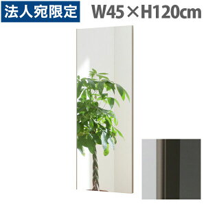 tFNX~[ X^_[h XGbW W45×H120cm VpS[h RM-2[ Ȃ y y tB~[ p Sg Sg~[ S ]wsxwiꕔn揜j