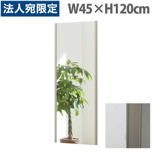 tFNX~[ X^_[h ChGbW W45×H120cm VpS[h NRM-2[ Ȃ y y tB~[ p Sg Sg~[ S ]wsxwiꕔn揜