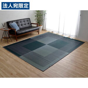 �C�P�q�R DX���[�j���O2 �������O �s���� �����` 191×191cm �l�C�r�[ DXMG191191 �w����s�x�w���������i�ꕔ�n�揜���j�x