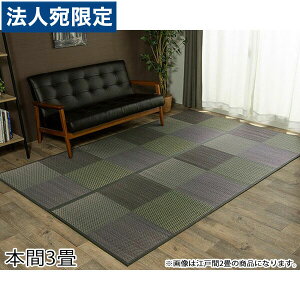 CPqR DXs[A J[ybg s {3 (191×286cm) O[ DXPA191286 wsxwiꕔn揜jx