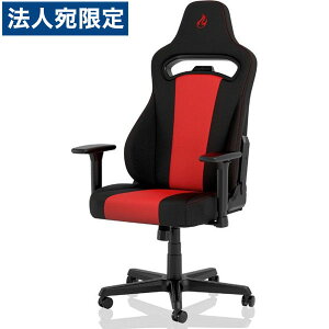 Nitro Concepts �Q�[�~���O�`�F�A E250 ���b�h NC-E250-BR �w�����w��s�x�w����s�x�w���������i�ꕔ�n�揜���j�x