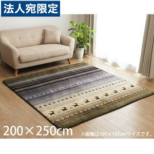 CPqR DXfB O Mbx zbgJ[ybgΉ ` 200×250cm O[ DRD250 wsxwiꕔn揜jx