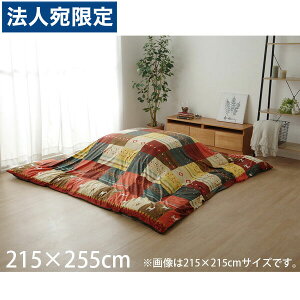 �C�P�q�R �V���V�A �����z�c�J�o�[ �M���b�x�� �m���f�B�b�N �����` 215×255cm ���b�h SNSC215255 �w����s�x�w���������i�ꕔ�n�揜���j�x