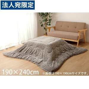 CPqR m[g |zc ` 190×240cm O[ NOT190240 wsxwiꕔn揜jx