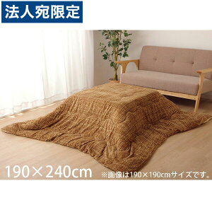 CPqR m[g |zc ` 190×240cm x[W NOT190240 wsxwiꕔn揜jx