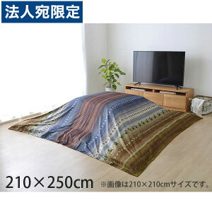 CPqR fB zc |Jo[ Mbx ` 210×250cm }` RDYU210250 wwsxwԕisxwsxwiꕔn揜jx