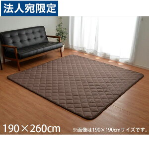 CPqR  LgO hq zbgJ[ybgΉ ` 190×260cm uE SSKK190260 wsxwiꕔn揜jx