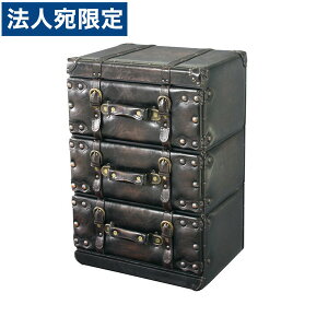 ���J �g�����N �`�F�X�g 3�i W410×D310×H600mm �u���b�N IW-873 [ ���[�Ƌ� ���[ ���r���O �Q�� ] �w���������i�ꕔ�n�揜���j�x