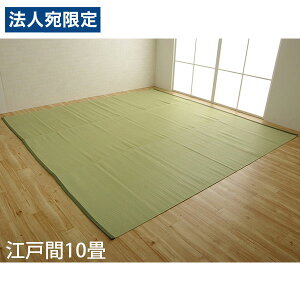 �C�P�q�R �|���v���s�������O �t�@�[�� �]�ˊ�10�� (435×352cm) �O���[�� FAM440352 [ �􂦂� PP���O ���O �J�[�y�b�g ���Y ���{�� ]�w����s�x�w���������i�ꕔ�n�揜���j�x