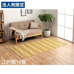 �C�P�q�R �|���v���s�������O ���a �]�ˊ�10�� (435×352cm) �x�[�W�� HYR435352 [ �􂦂� PP���O ���O �J�[�y�b�g ���Y ���{�� ]�w����s�x�w���������i�ꕔ�n�揜���j�x