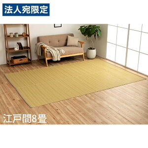 �C�P�q�R �|���v���s�������O �o���J�� �]�ˊ�8�� (348×352cm) �x�[�W�� BRC348352 [ �􂦂� PP���O ���O �J�[�y�b�g ���Y ���{�� ]�w����s�x�w���������i�ꕔ�n�揜���j�x