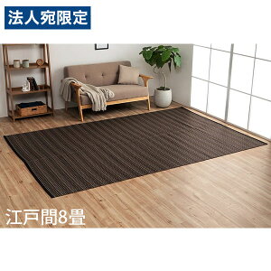 �C�P�q�R �|���v���s�������O �o���J�� �]�ˊ�8�� (348×352cm) �u���E�� BRC348352 [ �􂦂� PP���O ���O �J�[�y�b�g ���Y ���{�� ]�w����s�x�w���������i�ꕔ�n�揜���j�x