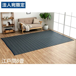 �C�P�q�R �|���v���s�������O �o���J�� �]�ˊ�8�� (348×352cm) �l�C�r�[ BRC348352 [ �􂦂� PP���O ���O �J�[�y�b�g ���Y ���{�� ]�w����s�x�w���������i�ꕔ�n�揜���j�x