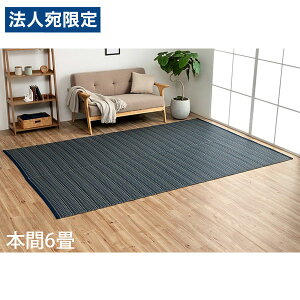 �C�P�q�R �|���v���s�������O �o���J�� �{��6�� (286.5×382cm) �l�C�r�[ BRC286382 [ �􂦂� PP���O ���O �J�[�y�b�g ���Y ���{�� ]�w����s�x�w���������i�ꕔ�n�揜���j�x