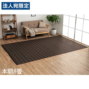 �C�P�q�R �|���v���s�������O �o���J�� �{��8�� (382×382cm) �u���E�� BRC382382 [ �􂦂� PP���O ���O �J�[�y�b�g ���Y ���{�� ]�w����s�x�w���������i�ꕔ�n�揜���j�x