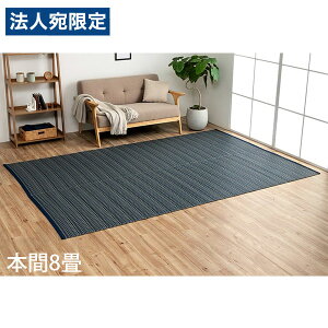 �C�P�q�R �|���v���s�������O �o���J�� �{��8�� (382×382cm) �l�C�r�[ BRC382382 [ �􂦂� PP���O ���O �J�[�y�b�g ���Y ���{�� ]�w����s�x�w���������i�ꕔ�n�揜���j�x