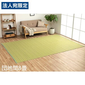 �C�P�q�R �|���v���s�������O �o���J�� �c�n��8�� (340×340cm) �O���[�� BRC340340 [ �􂦂� PP���O ���O �J�[�y�b�g ���Y ���{�� ]�w����s�x�w���������i�ꕔ�n�揜���j�x