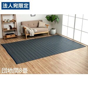 �C�P�q�R �|���v���s�������O �o���J�� �c�n��8�� (340×340cm) �l�C�r�[ BRC340340 [ �􂦂� PP���O ���O �J�[�y�b�g ���Y ���{�� ]�w����s�x�w���������i�ꕔ�n�揜���j�x