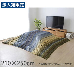 CPqR fB zc |Jo[ Mbx ` 210×250cm O[ RDYU210250 [  zc |p Jo[ 􂦂 ]wsxwiꕔn揜jx