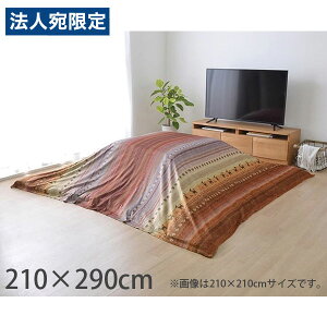 CPqR fB zc |Jo[ Mbx ` 210×290cm IW RDYU210290 [  zc |p Jo[ 􂦂 ]wsxwiꕔn揜jx