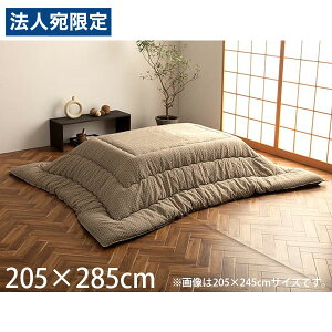 CPqR D zc hq ` 205×285cm x[W G7800059 [  |zc | a { ]wsxwiꕔn揜jx