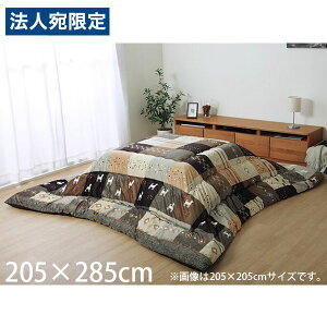 CPqR VVA zc Mbx ` 205×285cm uE SNS205285 [  |zc | k { ]wsxwiꕔn揜jx