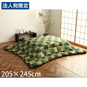 CPqR  zc s͗l ` 205×245cm O[ G6032819 [  |zc | a_ { ]wsxwiꕔn揜jx