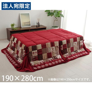 CPqR zc ȃXy[X^Cv 唻 ` 190×280cm bh G5578619 [  ȃXy[X k mfBbN 􂦂 ]wsxwiꕔn揜jx